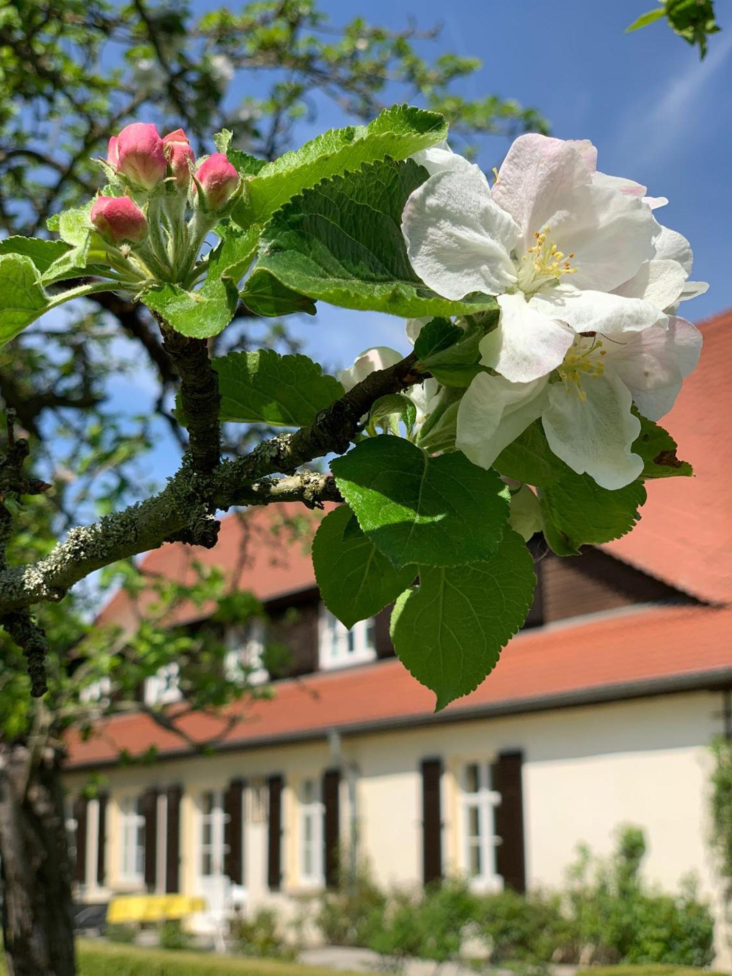 Landhaus Saaleck Naumburg  Dış mekan fotoğraf