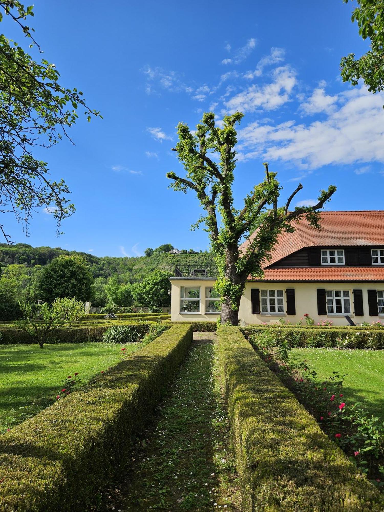 Landhaus Saaleck Naumburg  Dış mekan fotoğraf